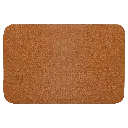 LPTH101--e90a2867.webp