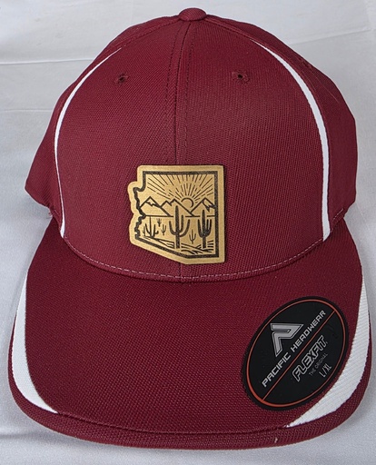 Arizona Cactus Hats